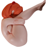 Crimson Fantasy Doll